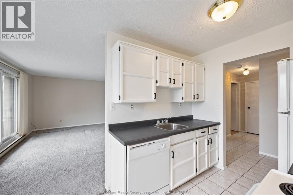 3936 Wyandotte Street East Unit# 312, Windsor, Ontario  N8Y 4V1 - Photo 2 - 26004655