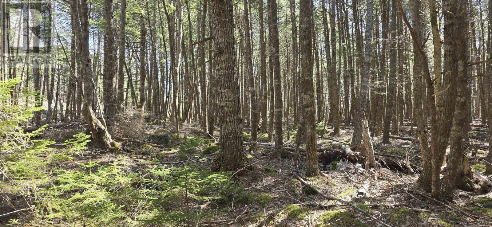 Lot 3 Beaver Row, Labelle, Nova Scotia  B0T 1E0 - Photo 10 - 202506927