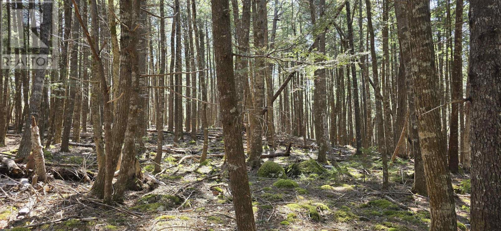 Lot 3 Beaver Row, Labelle, Nova Scotia  B0T 1E0 - Photo 11 - 202506927