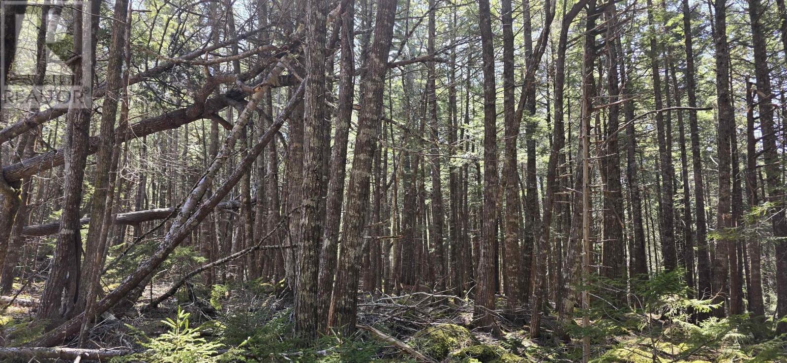 Lot 3 Beaver Row, Labelle, Nova Scotia  B0T 1E0 - Photo 12 - 202506927