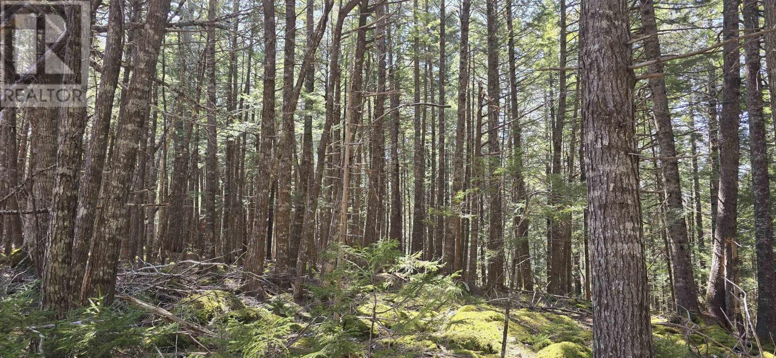 Lot 3 Beaver Row, Labelle, Nova Scotia  B0T 1E0 - Photo 13 - 202506927