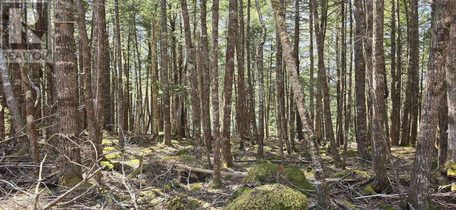 Lot 3 Beaver Row, Labelle, Nova Scotia  B0T 1E0 - Photo 14 - 202506927