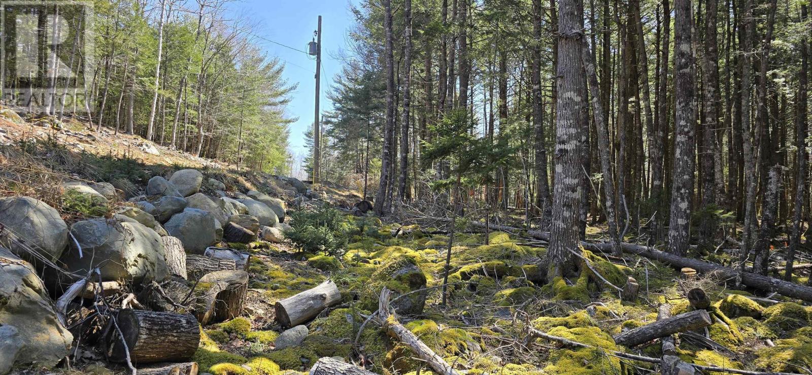 Lot 3 Beaver Row, Labelle, Nova Scotia  B0T 1E0 - Photo 16 - 202506927