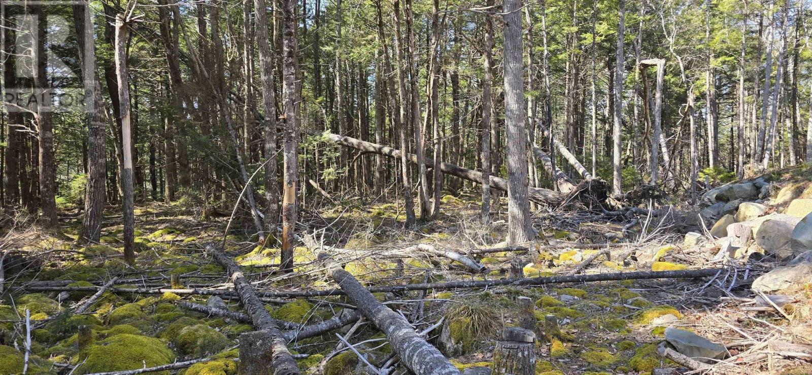 Lot 3 Beaver Row, Labelle, Nova Scotia  B0T 1E0 - Photo 17 - 202506927