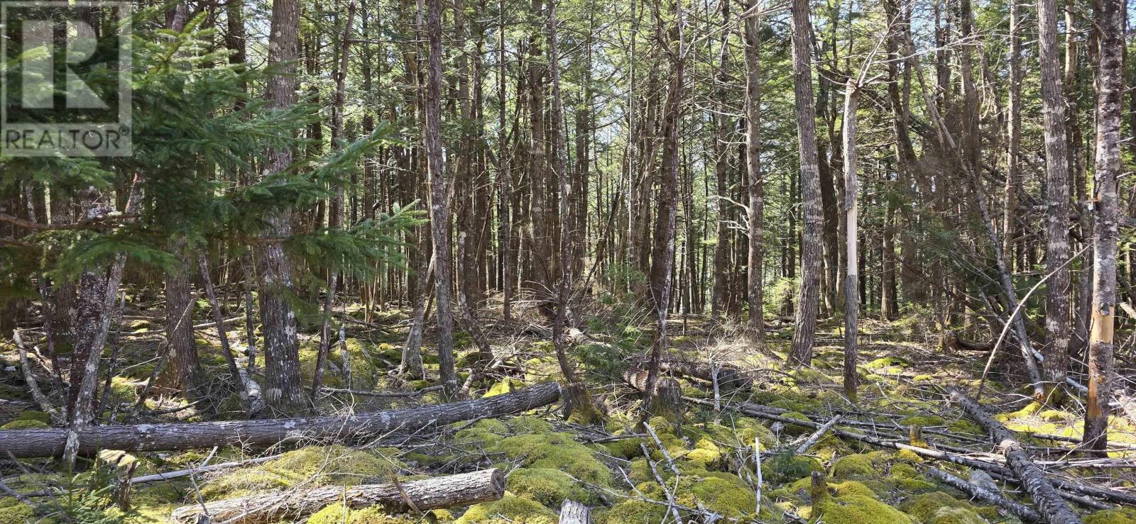 Lot 3 Beaver Row, Labelle, Nova Scotia  B0T 1E0 - Photo 18 - 202506927