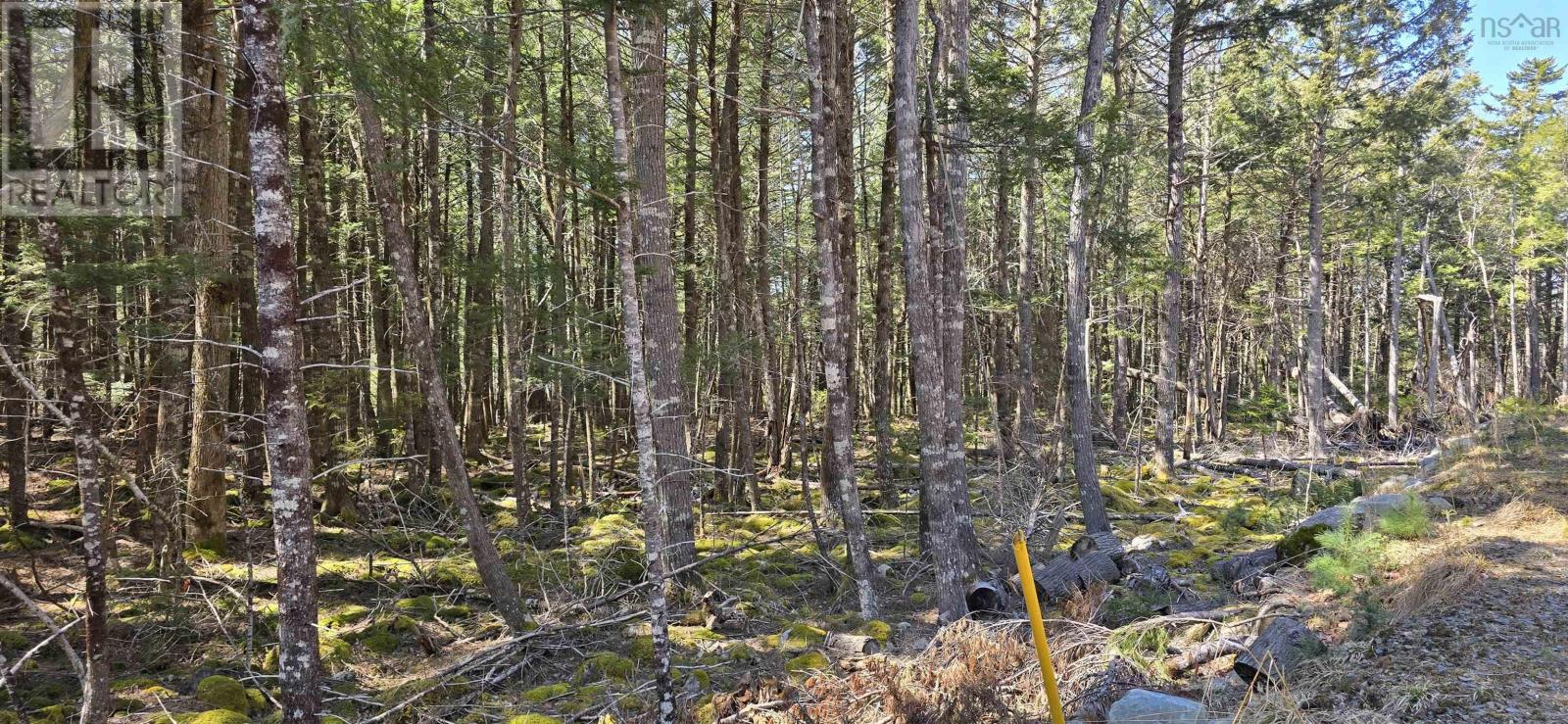 Lot 3 Beaver Row, Labelle, Nova Scotia  B0T 1E0 - Photo 19 - 202506927