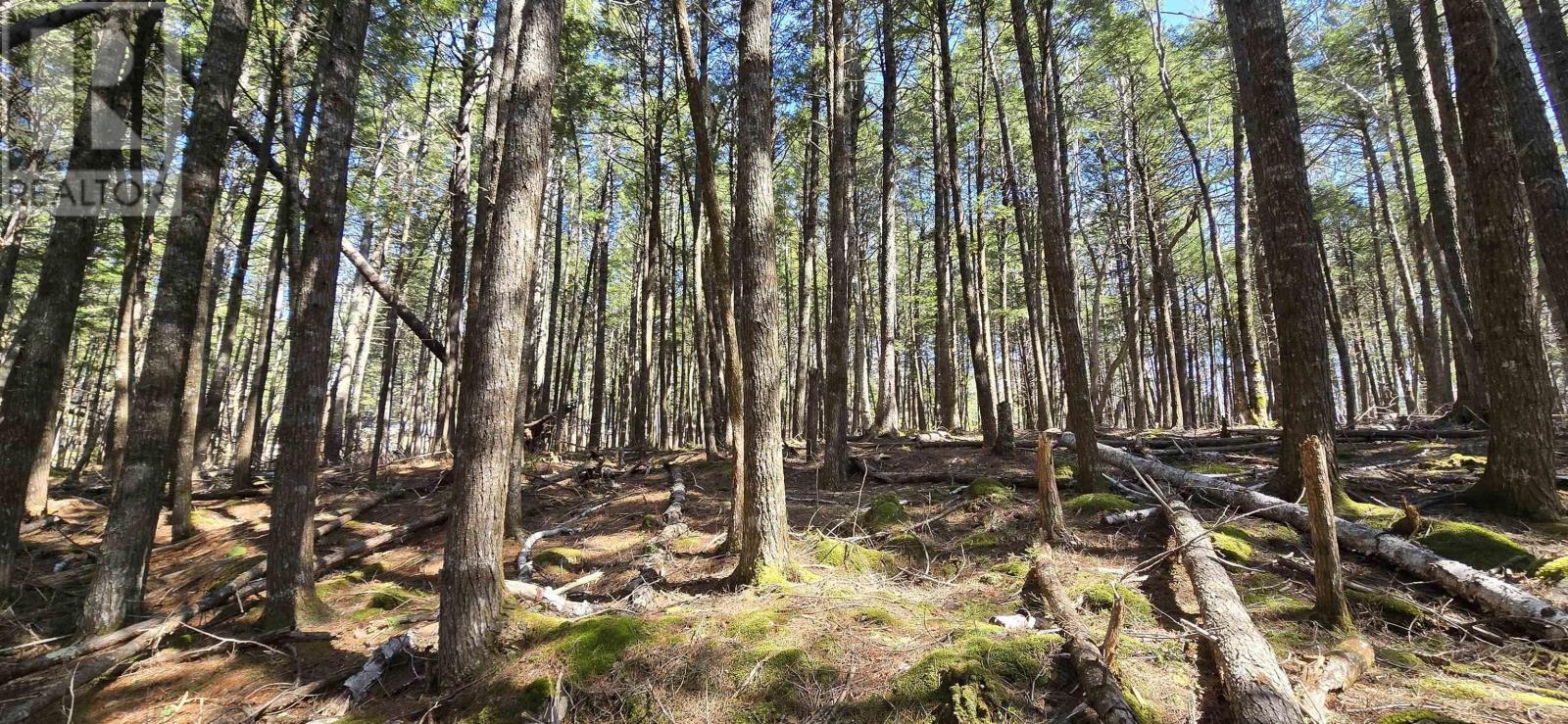 Lot 3 Beaver Row, Labelle, Nova Scotia  B0T 1E0 - Photo 2 - 202506927