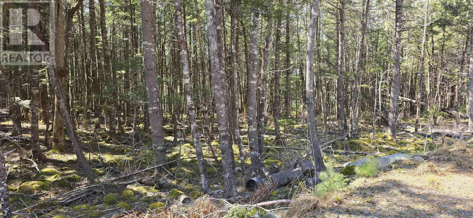 Lot 3 Beaver Row, Labelle, Nova Scotia  B0T 1E0 - Photo 20 - 202506927