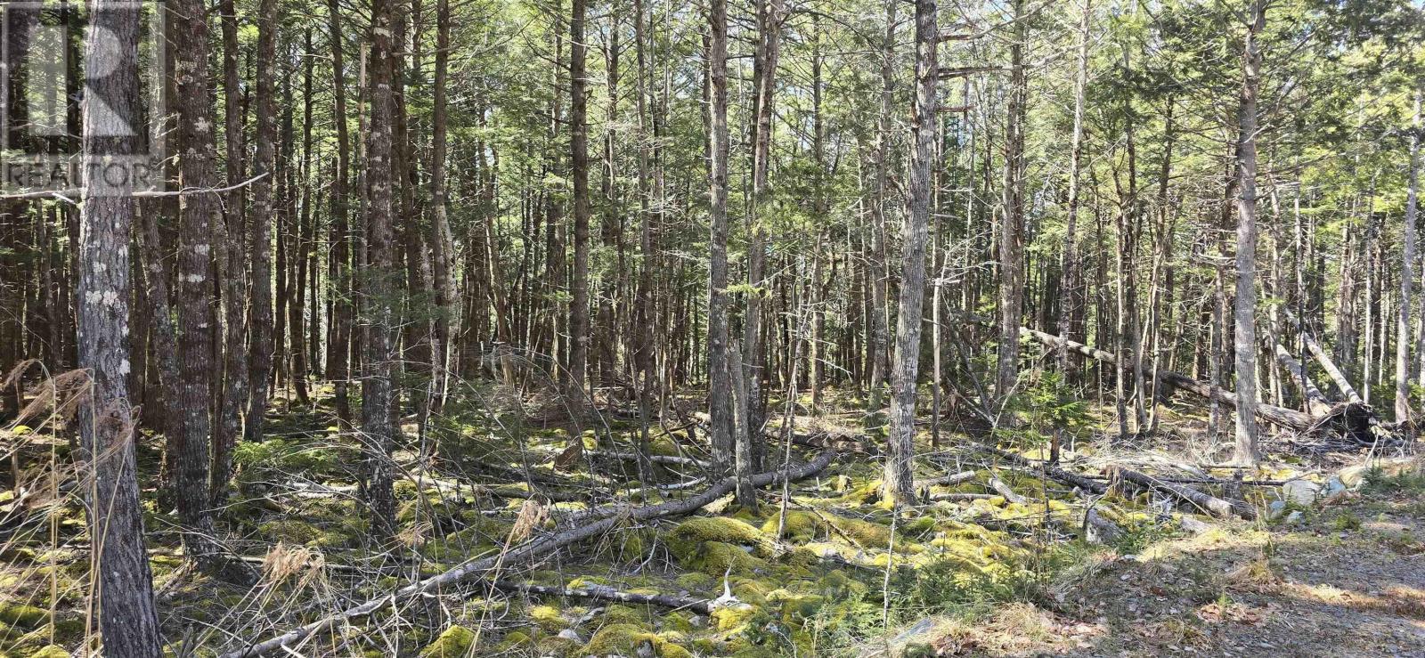 Lot 3 Beaver Row, Labelle, Nova Scotia  B0T 1E0 - Photo 21 - 202506927