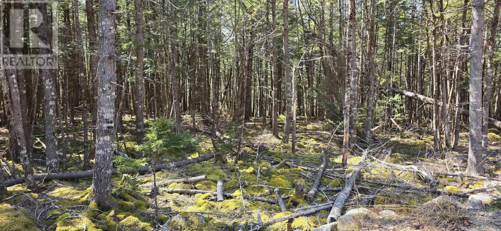 Lot 3 Beaver Row, Labelle, Nova Scotia  B0T 1E0 - Photo 22 - 202506927