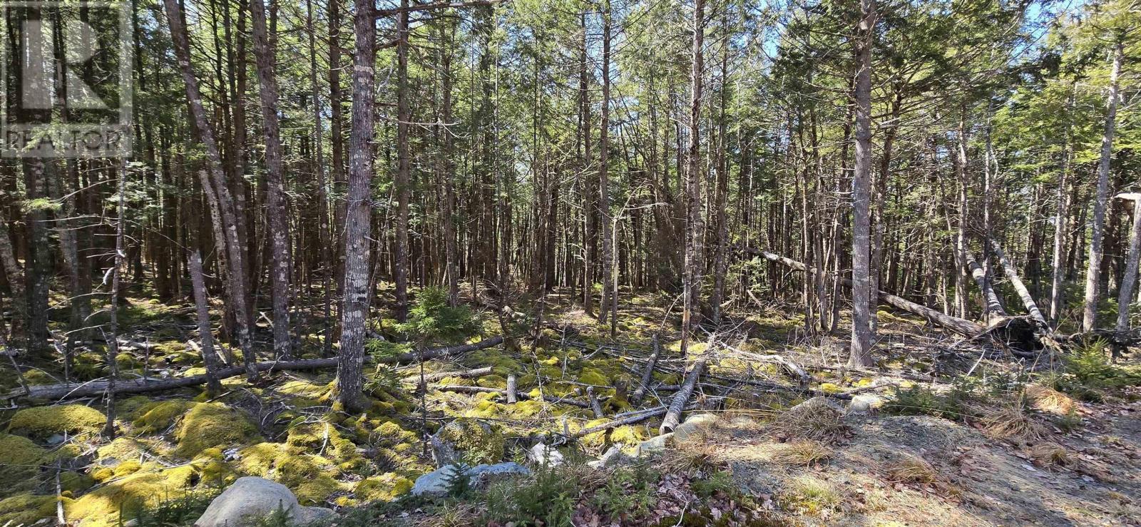 Lot 3 Beaver Row, Labelle, Nova Scotia  B0T 1E0 - Photo 23 - 202506927