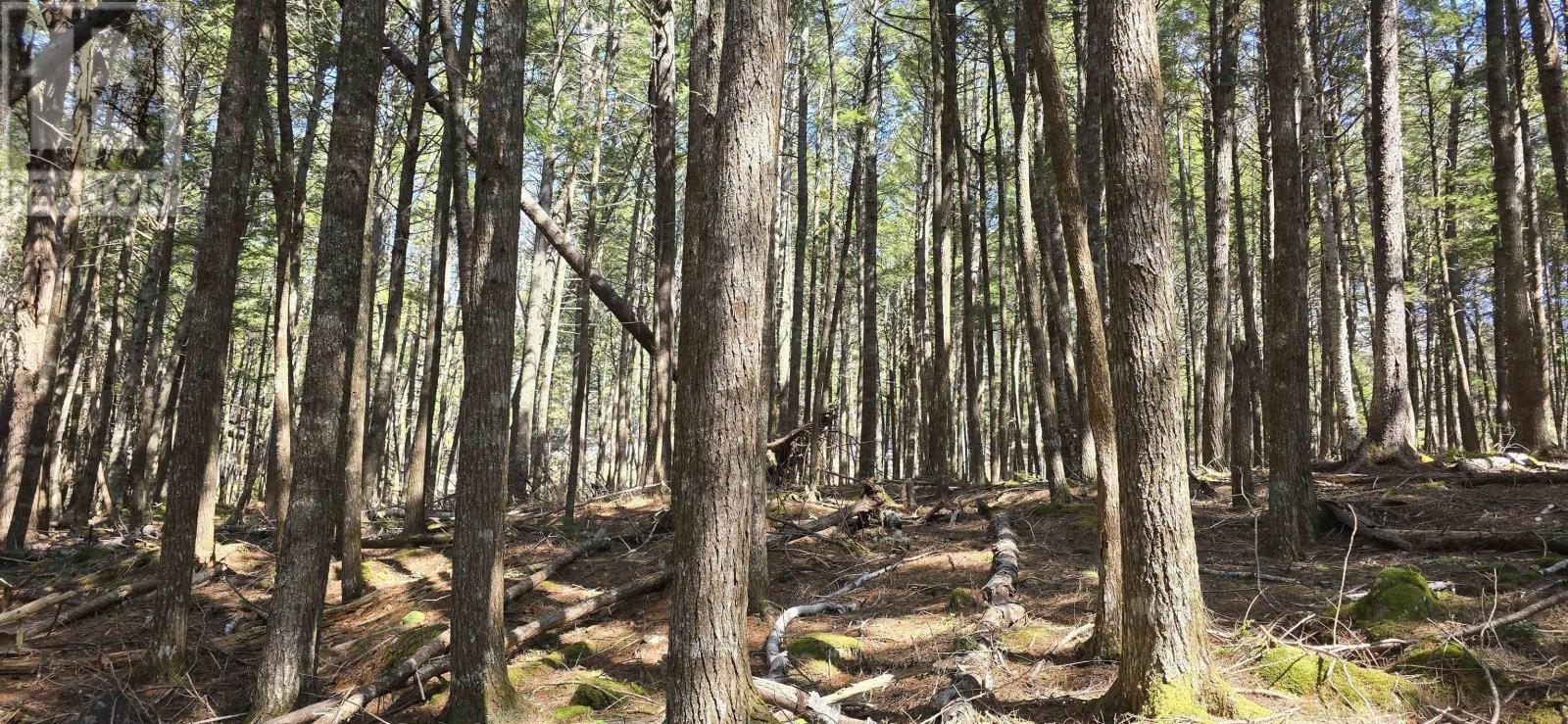 Lot 3 Beaver Row, Labelle, Nova Scotia  B0T 1E0 - Photo 3 - 202506927