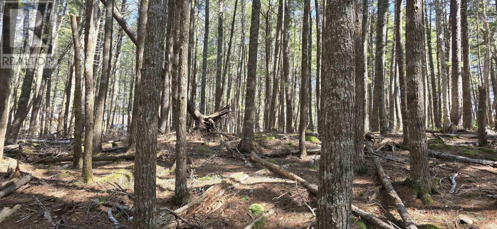 Lot 3 Beaver Row, Labelle, Nova Scotia  B0T 1E0 - Photo 4 - 202506927