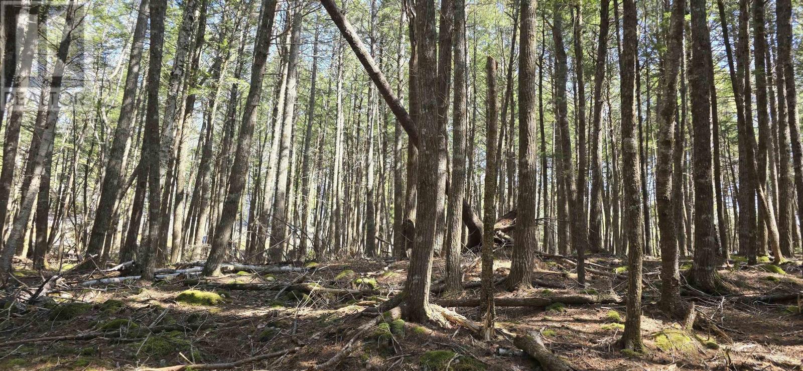 Lot 3 Beaver Row, Labelle, Nova Scotia  B0T 1E0 - Photo 5 - 202506927