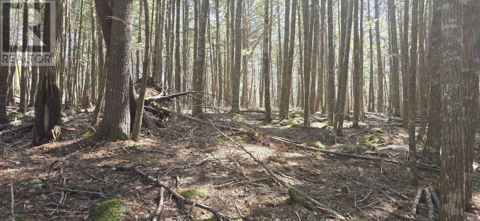 Lot 3 Beaver Row, Labelle, Nova Scotia  B0T 1E0 - Photo 6 - 202506927