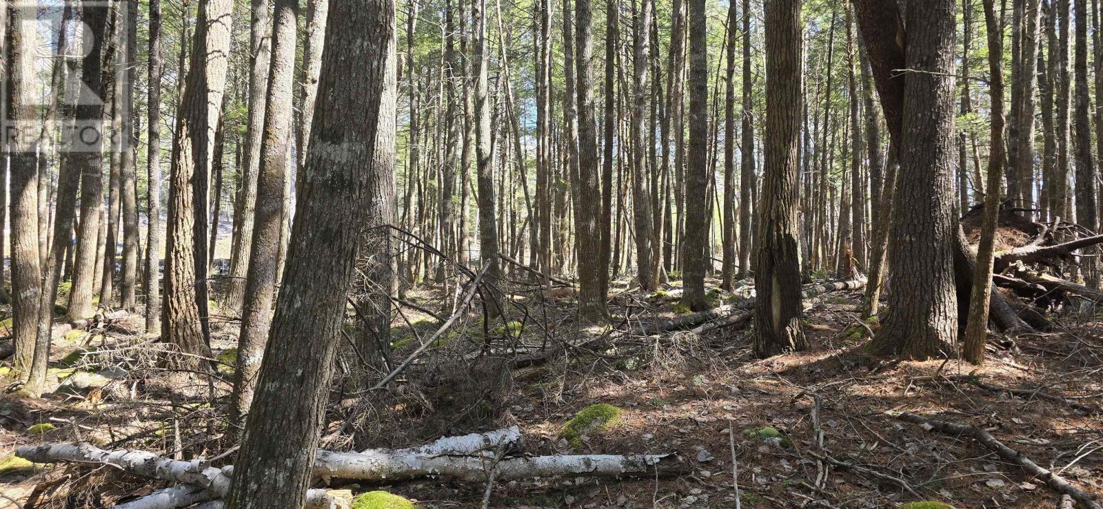 Lot 3 Beaver Row, Labelle, Nova Scotia  B0T 1E0 - Photo 7 - 202506927