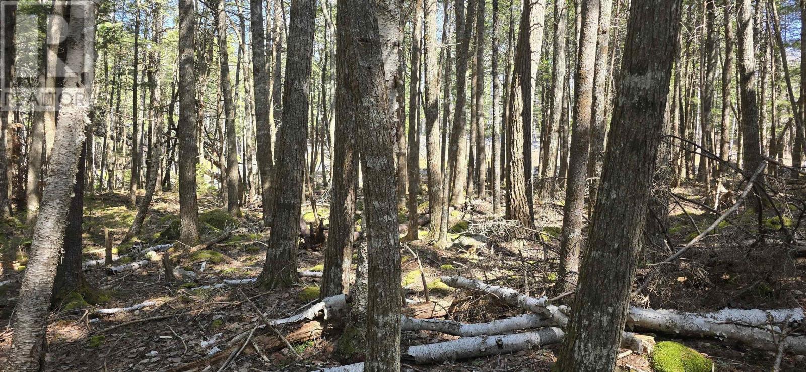 Lot 3 Beaver Row, Labelle, Nova Scotia  B0T 1E0 - Photo 8 - 202506927