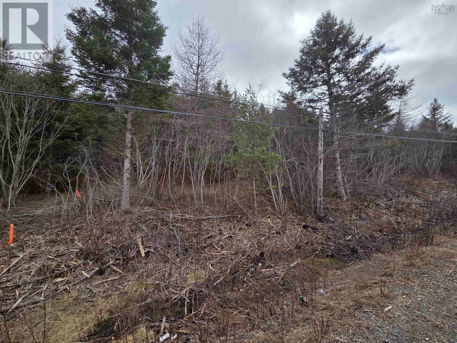 Cvm-A Highway 236, Stanley, Stanley, Nova Scotia  B0N 2L0 - Photo 6 - 202606416