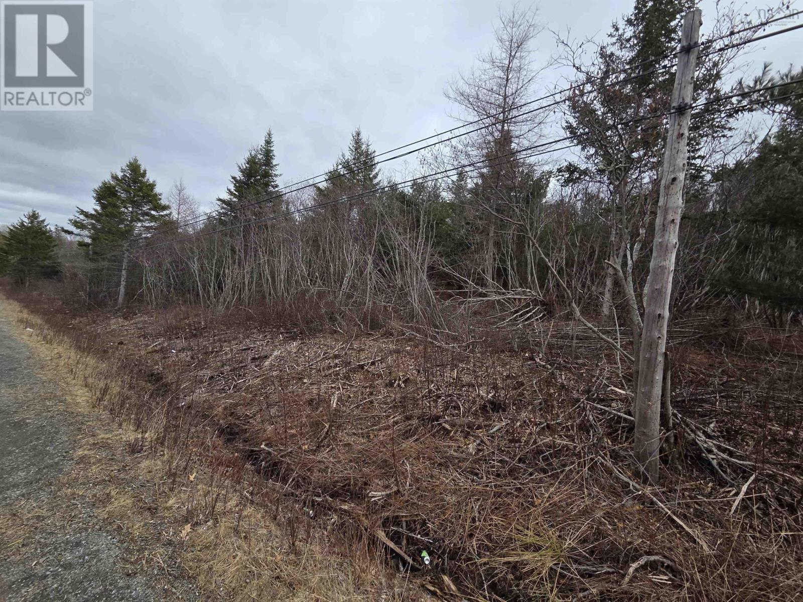 Cvm-A Highway 236, Stanley, Stanley, Nova Scotia  B0N 2L0 - Photo 7 - 202606416