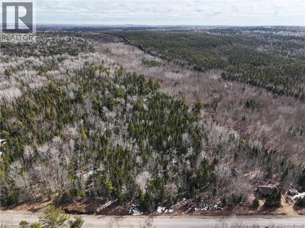 Lot 90-2 Scenic Narrawos Boulevard, Cambridge-Narrows, New Brunswick  E4C 2N3 - Photo 10 - NB136529