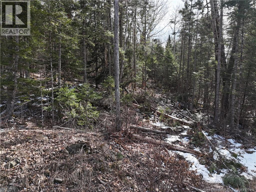 Lot 90-2 Scenic Narrawos Boulevard, Cambridge-Narrows, New Brunswick  E4C 2N3 - Photo 11 - NB136529