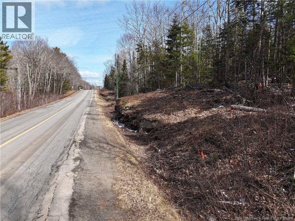 Lot 90-2 Scenic Narrawos Boulevard, Cambridge-Narrows, New Brunswick  E4C 2N3 - Photo 12 - NB136529