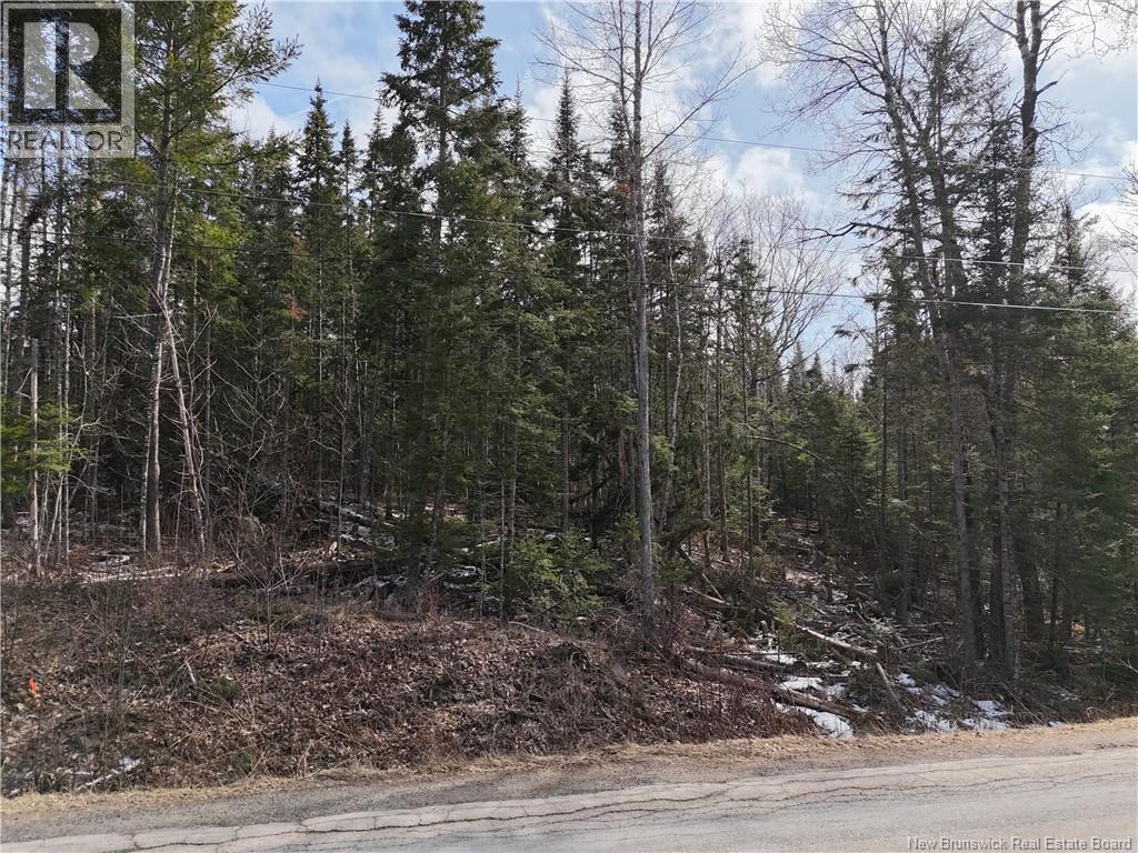 Lot 90-2 Scenic Narrawos Boulevard, Cambridge-Narrows, New Brunswick  E4C 2N3 - Photo 14 - NB136529