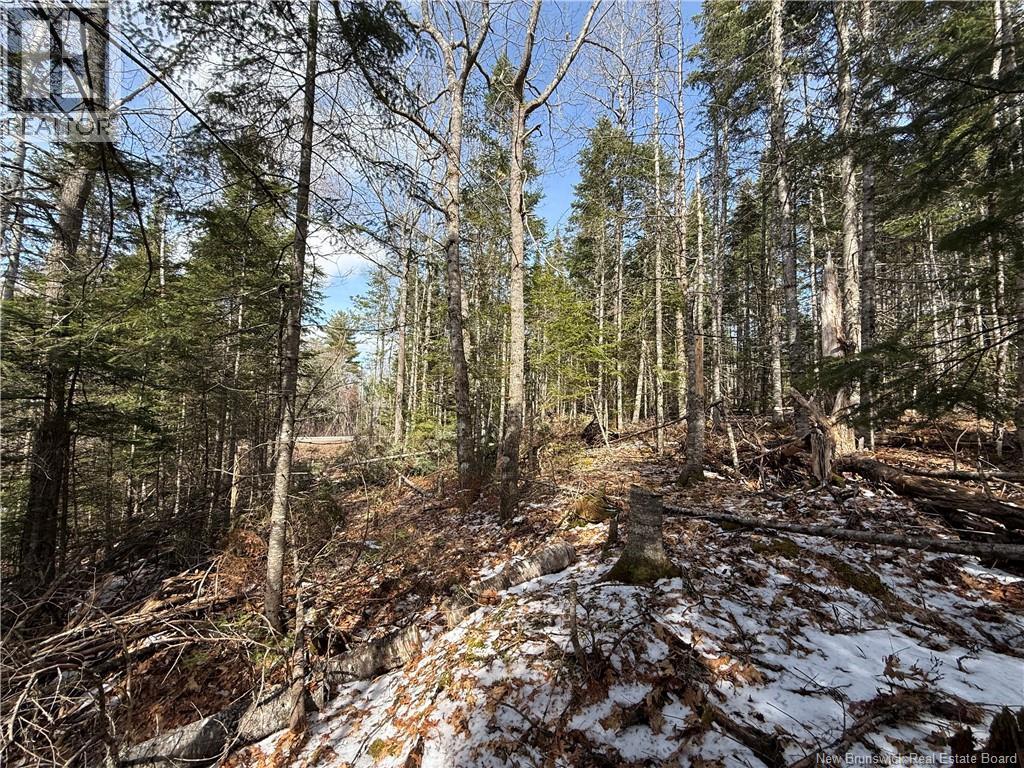 Lot 90-2 Scenic Narrawos Boulevard, Cambridge-Narrows, New Brunswick  E4C 2N3 - Photo 16 - NB136529