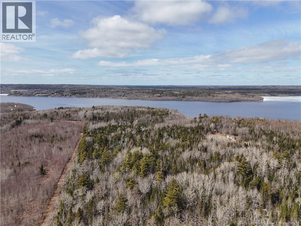 Lot 90-2 Scenic Narrawos Boulevard, Cambridge-Narrows, New Brunswick  E4C 2N3 - Photo 7 - NB136529