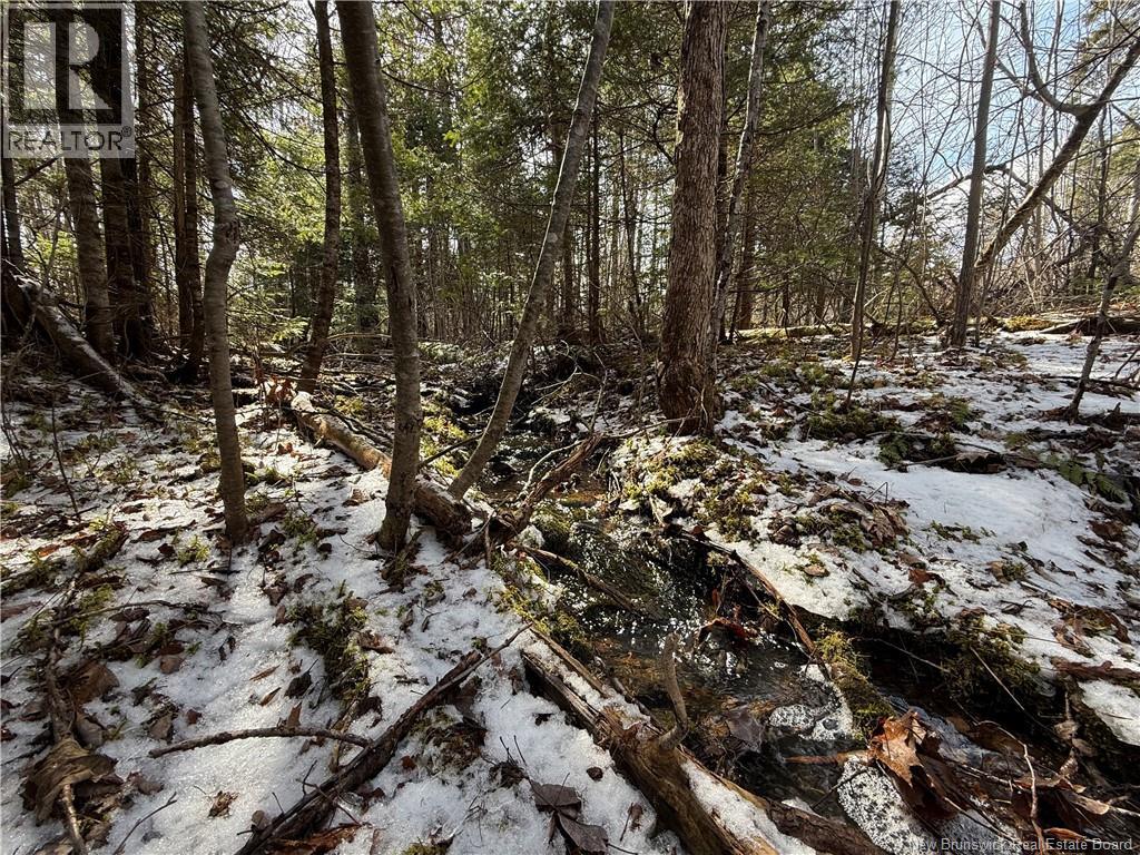 Lot 90-2 Scenic Narrawos Boulevard, Cambridge-Narrows, New Brunswick  E4C 2N3 - Photo 9 - NB136529