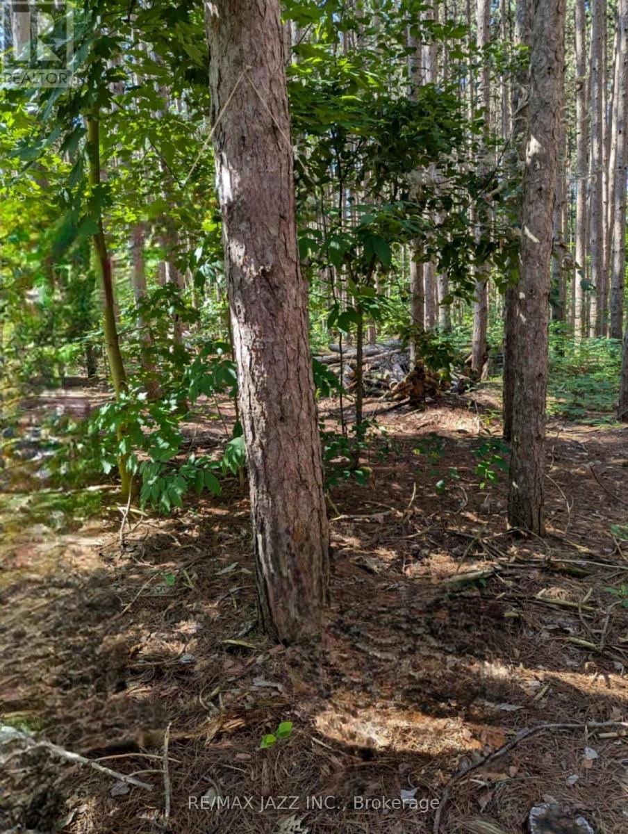 149 Whites Road, Brighton, Ontario  K0K 1H0 - Photo 34 - X12963212