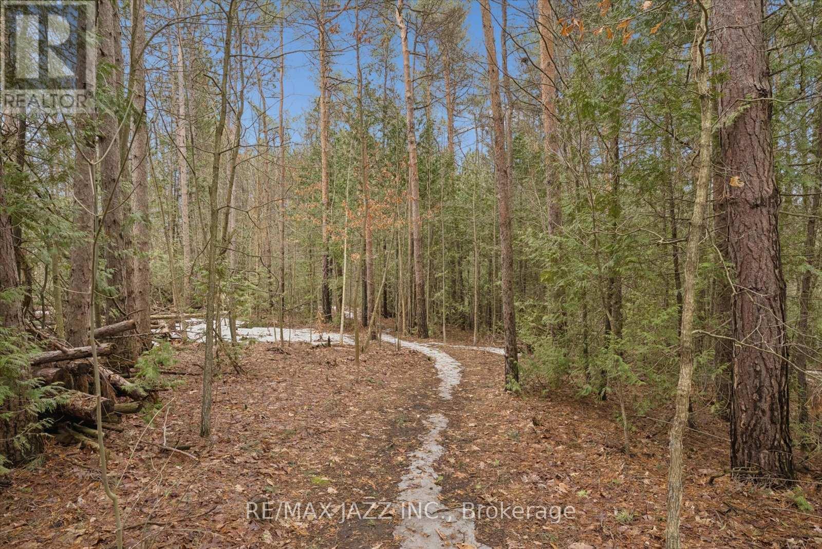 149 Whites Road, Brighton, Ontario  K0K 1H0 - Photo 35 - X12963212