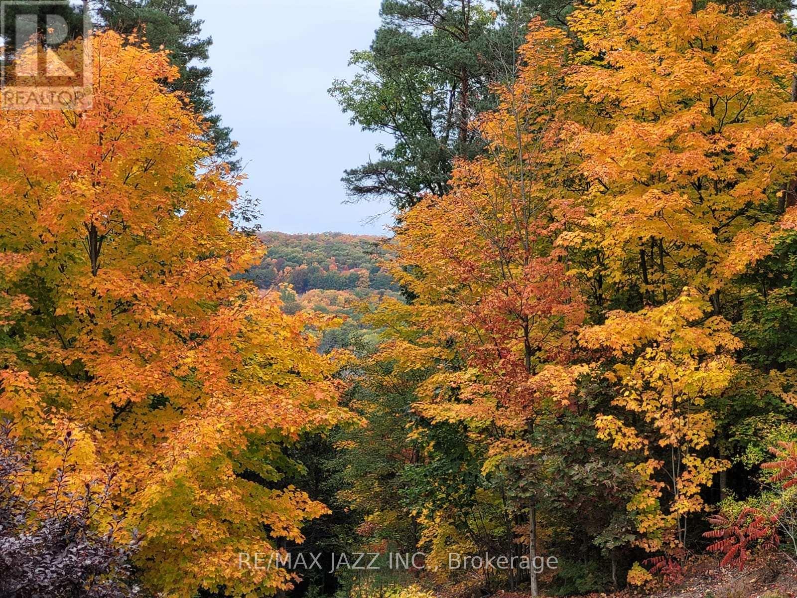 149 Whites Road, Brighton, Ontario  K0K 1H0 - Photo 36 - X12963212