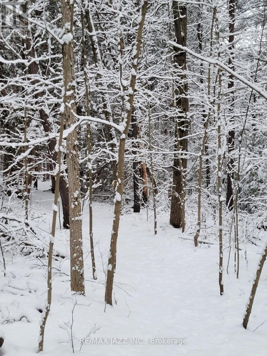 149 Whites Road, Brighton, Ontario  K0K 1H0 - Photo 37 - X12963212