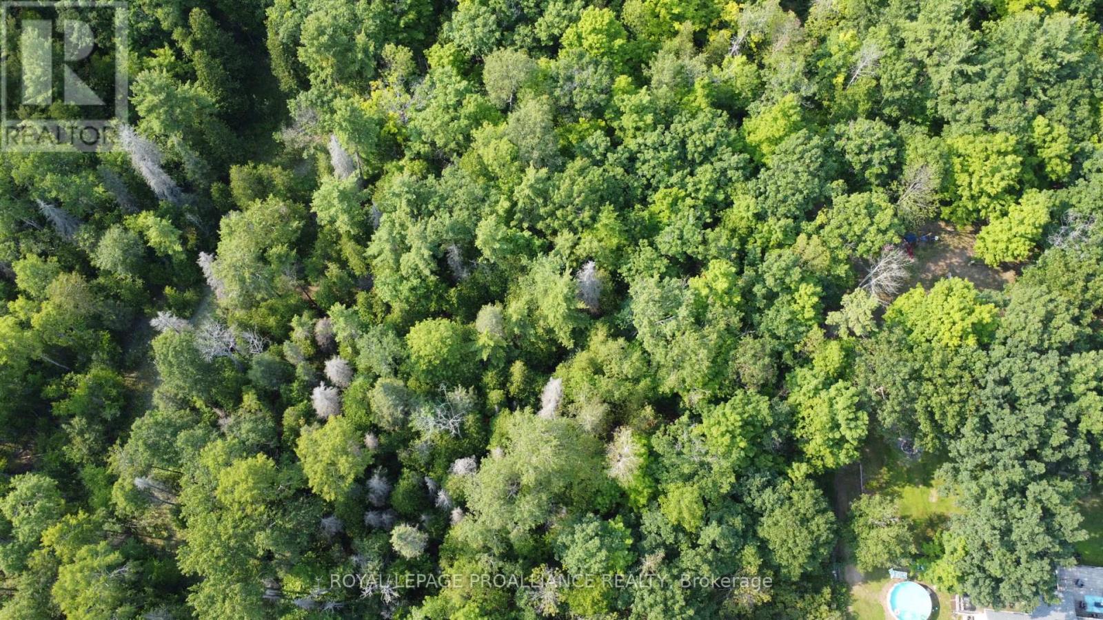 Lot 7 Rockhaven Crescent, Marmora And Lake, Ontario  K0K 2M0 - Photo 4 - X12963572