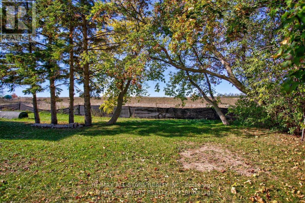 291 Angeline Street N, Kawartha Lakes, Ontario K9V 0H2 - Photo 43 - X12963582