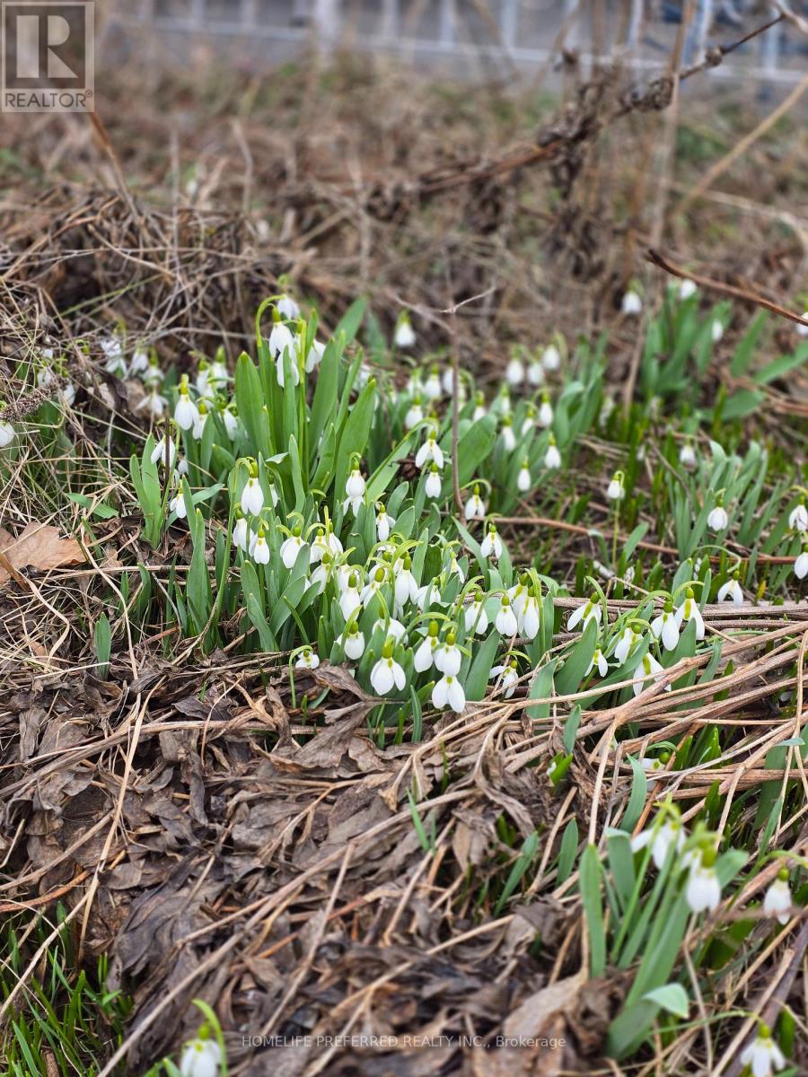 768 Water Street, Peterborough, Ontario  K9H 3N6 - Photo 47 - X12963632