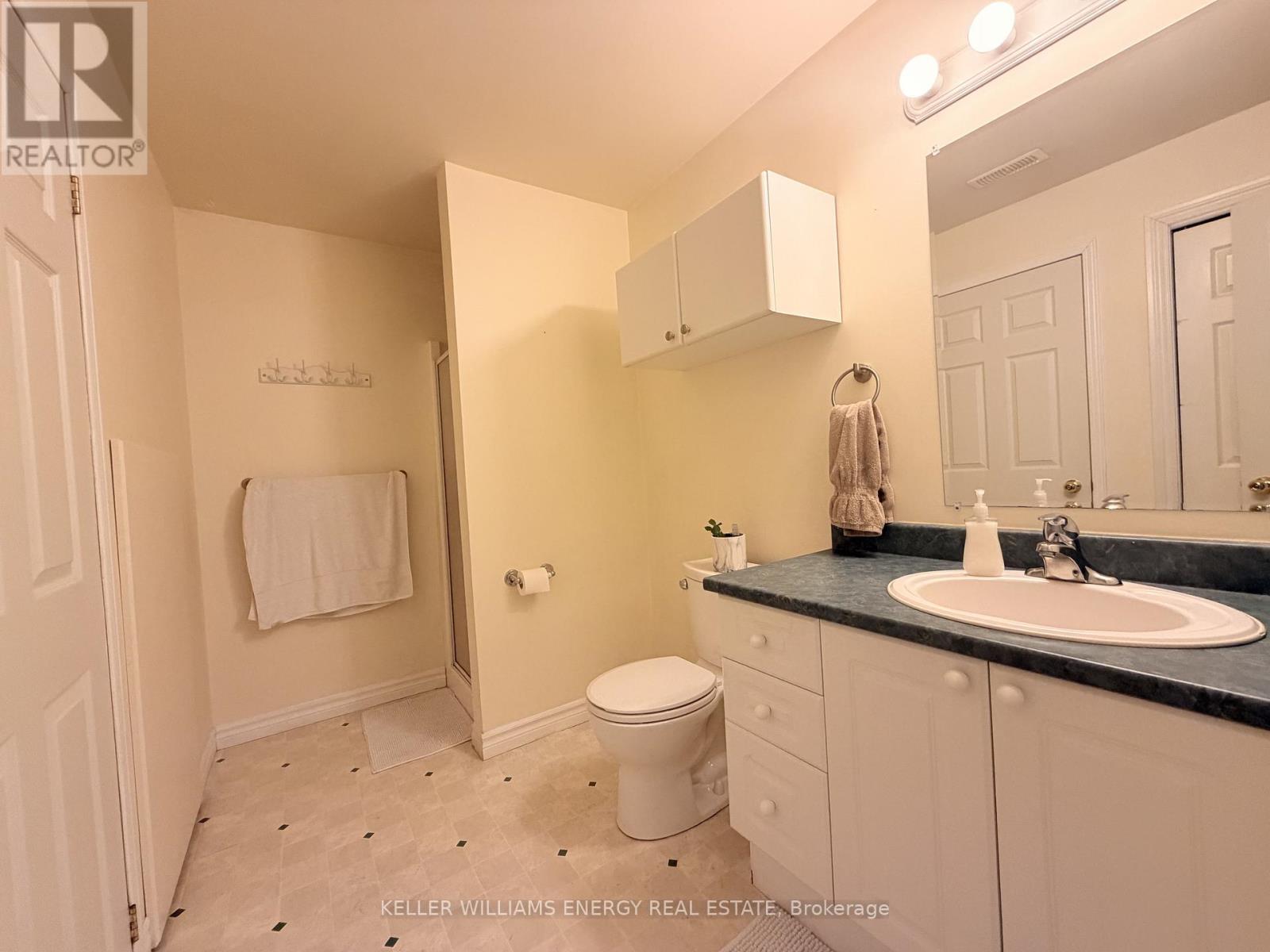 Lower Level - 75 Trefusis Street, Port Hope, Ontario  L1A 4J2 - Photo 14 - X12963820