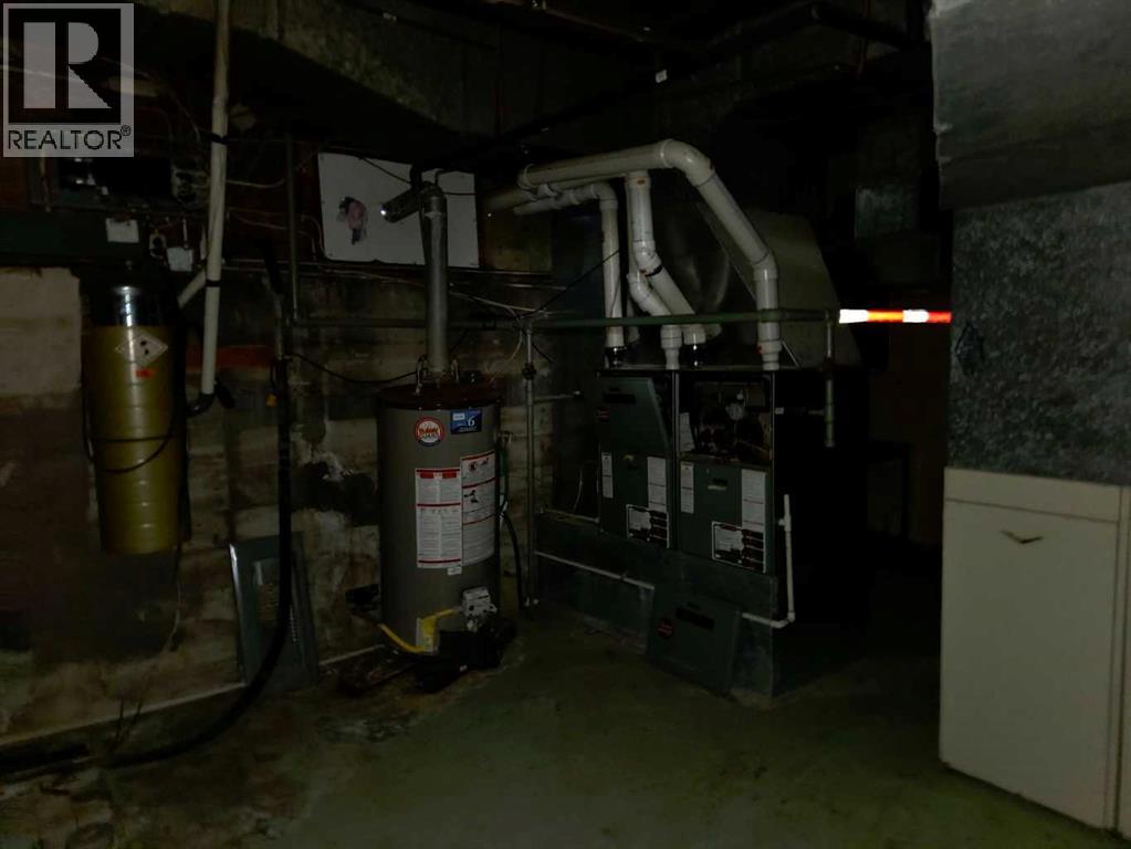 204 Lay Vivian Avenue W, Galahad, Alberta  T0B 1R0 - Photo 38 - A2294541