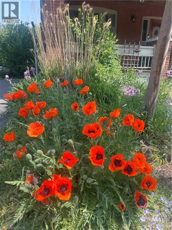 1 Rutherford Avenue, Hamilton, Ontario  L8M 1Y3 - Photo 44 - 40816262