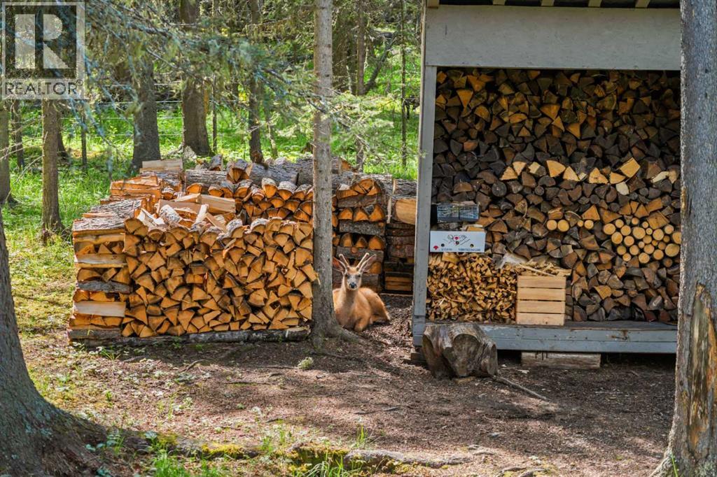 139, 5417 Highway 579, Rural Mountain View County, Alberta  T0M 2E0 - Photo 8 - A2299269