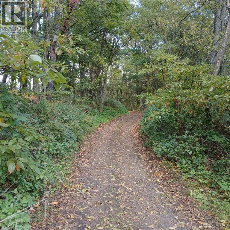 535 Mcdowell Road E, Simcoe, Ontario  N3Y 4J9 - Photo 39 - 40818146