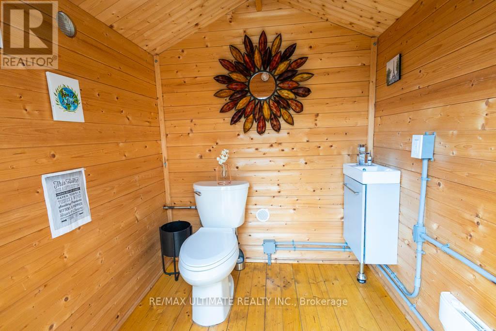 16900 Nestleton Road, Scugog, Ontario  L0B 1L0 - Photo 34 - E12963812