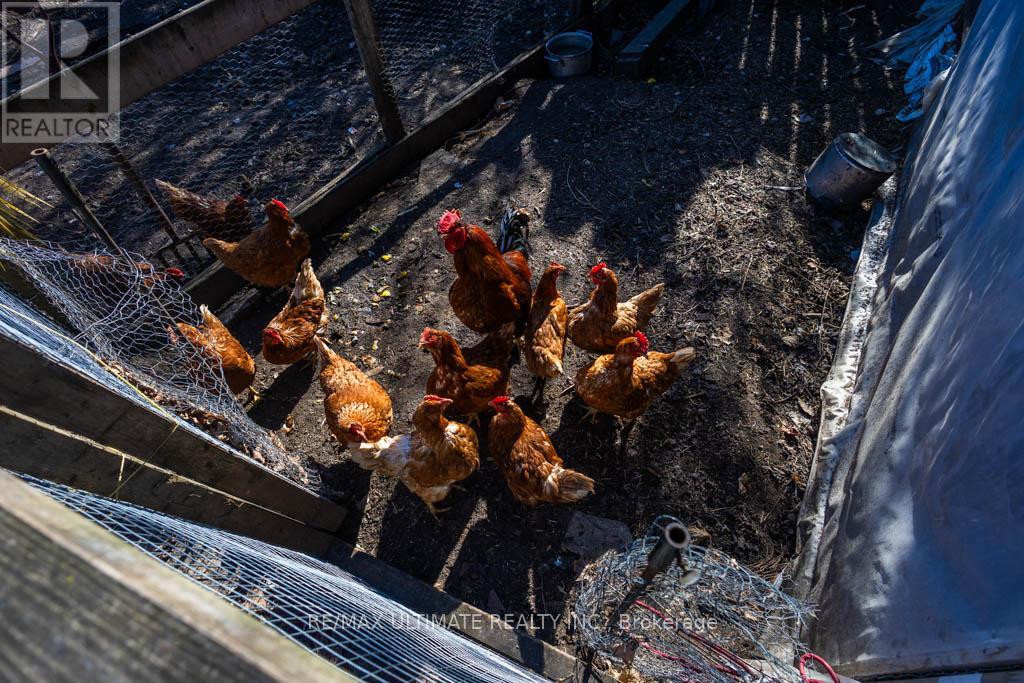 16900 Nestleton Road, Scugog, Ontario  L0B 1L0 - Photo 41 - E12963812