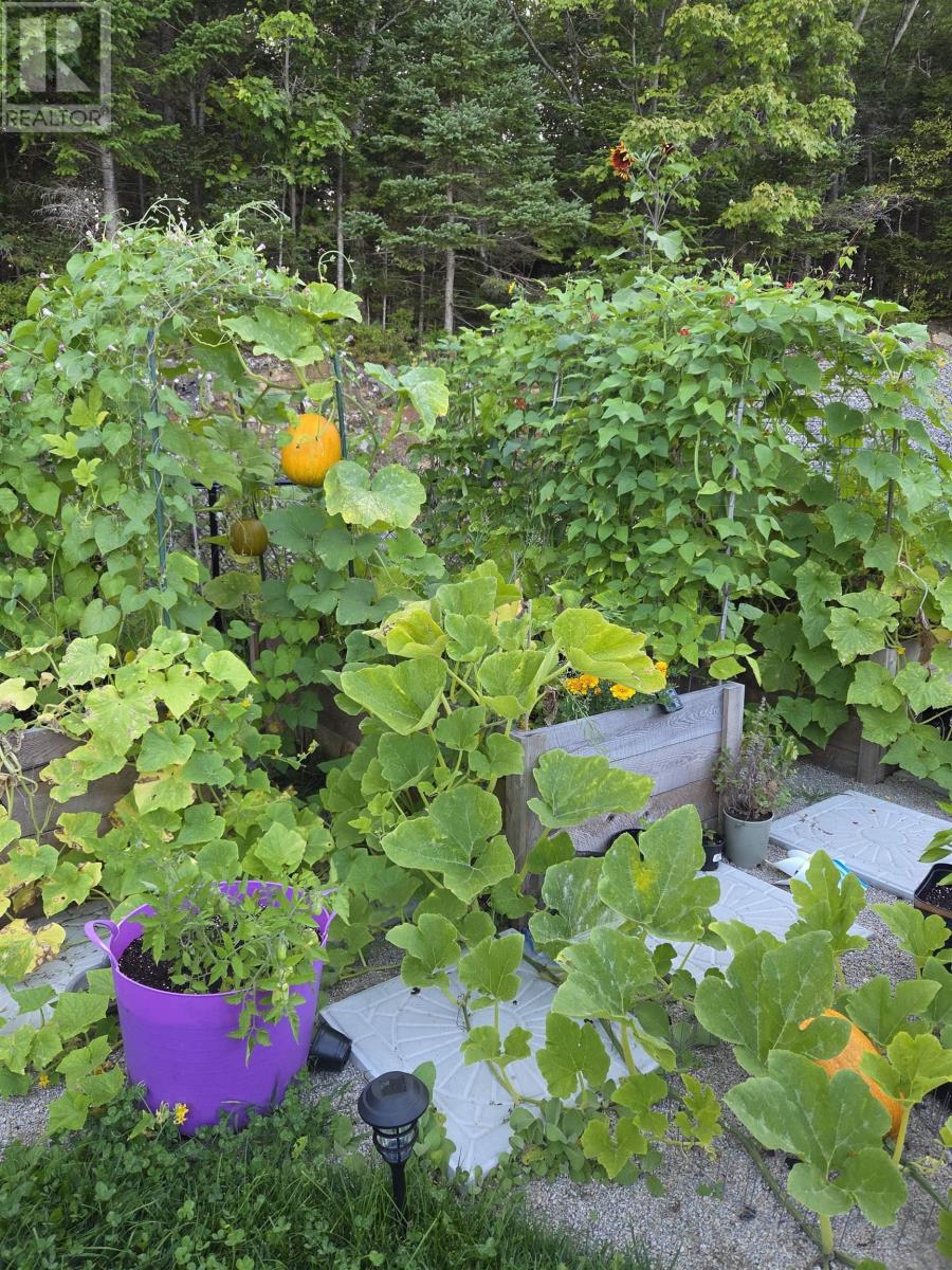 29 Sea Glass Drive, Simms Settlement, Nova Scotia  B0J 1T0 - Photo 25 - 202606432