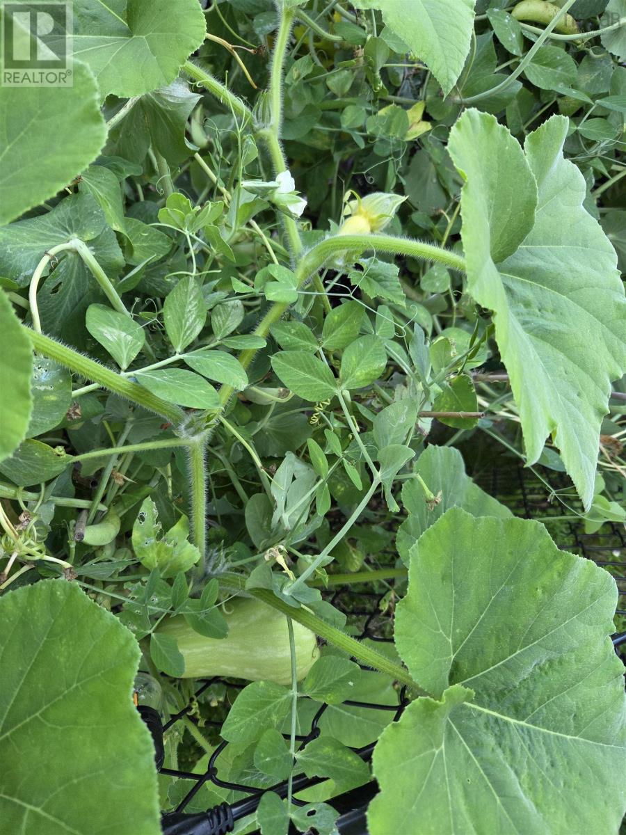 29 Sea Glass Drive, Simms Settlement, Nova Scotia  B0J 1T0 - Photo 30 - 202606432