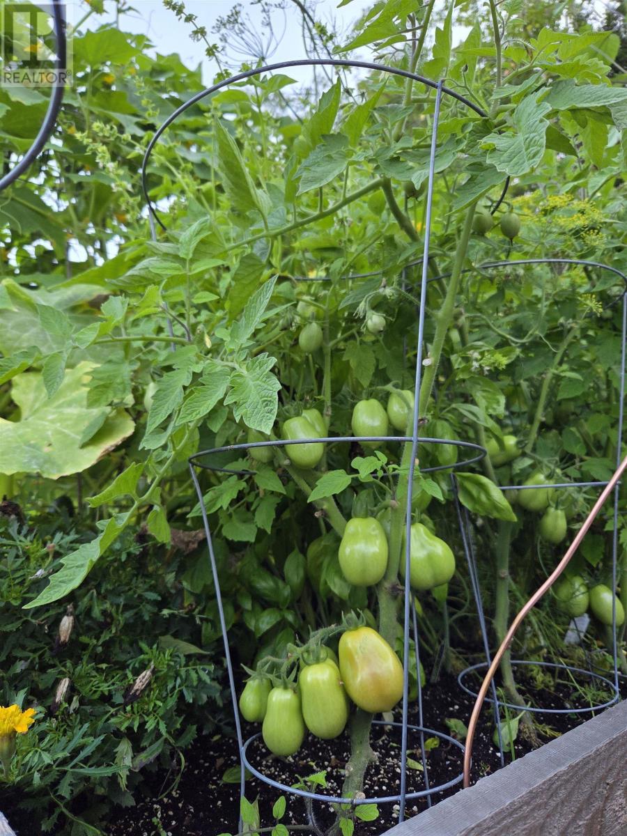 29 Sea Glass Drive, Simms Settlement, Nova Scotia  B0J 1T0 - Photo 31 - 202606432