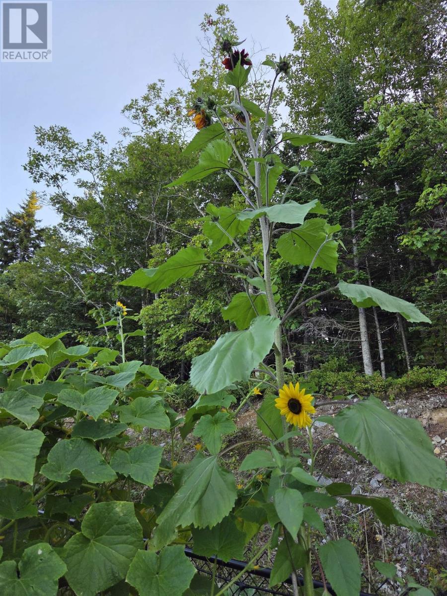 29 Sea Glass Drive, Simms Settlement, Nova Scotia  B0J 1T0 - Photo 32 - 202606432