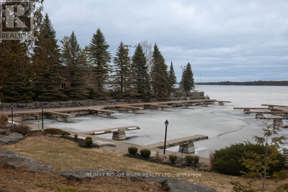 27 South Harbour Drive, Kawartha Lakes, Ontario  K0M 1A0 - Photo 42 - X12963438