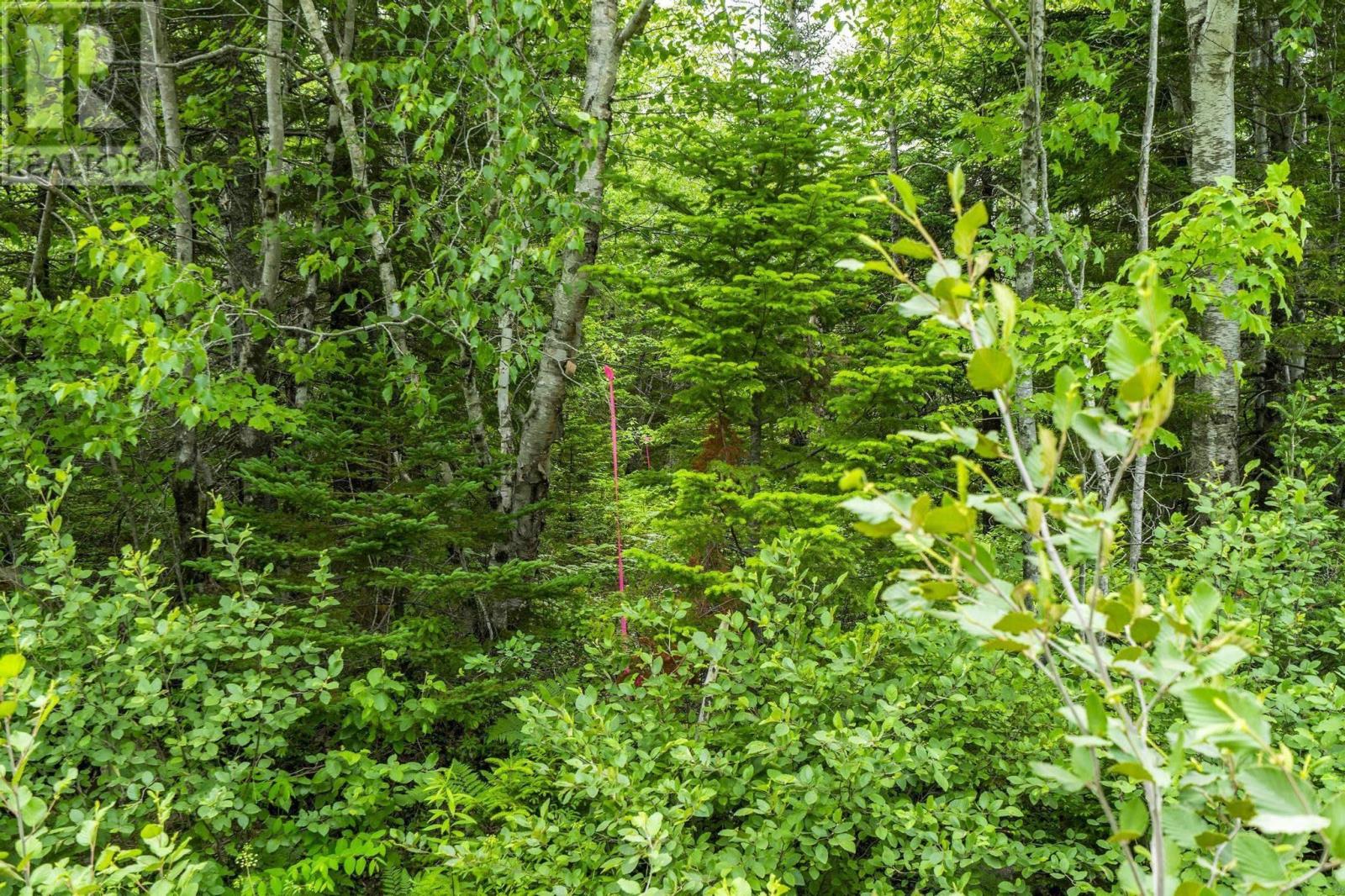 Lot 3 Old Yarmouth Road, Weymouth Falls, Nova Scotia  B0W 3T0 - Photo 5 - 202606439